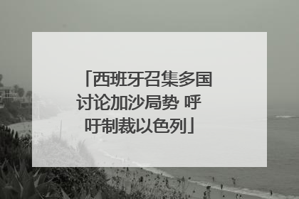 西班牙召集多国讨论加沙局势 呼吁制裁以色列
