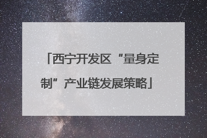西宁开发区“量身定制”产业链发展策略