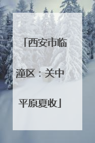 西安市临潼区：关中平原夏收