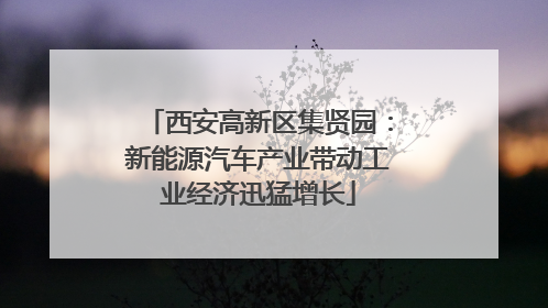 西安高新区集贤园：新能源汽车产业带动工业经济迅猛增长