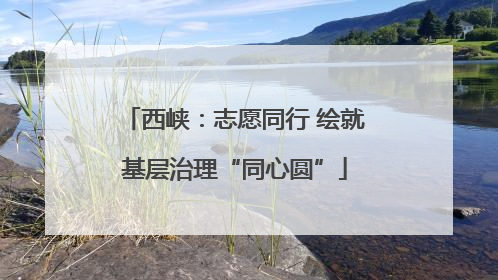 西峡：志愿同行 绘就基层治理“同心圆”