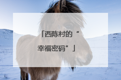 西陈村的“幸福密码”