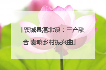 襄城县湛北镇：三产融合 奏响乡村振兴曲