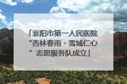 襄阳市第一人民医院“杏林春雨・雪域仁心”志愿服务队成立