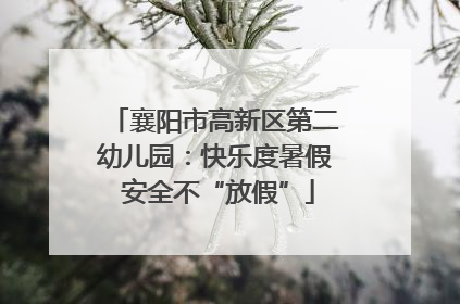 襄阳市高新区第二幼儿园：快乐度暑假 安全不“放假”