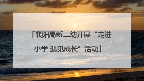 襄阳高新二幼开展“走进小学 遇见成长”活动