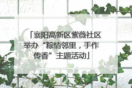 襄阳高新区紫薇社区举办“粽情邻里，手作传香”主题活动
