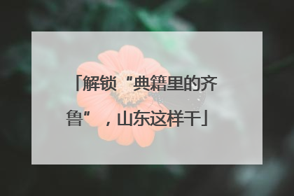 解锁“典籍里的齐鲁”，山东这样干
