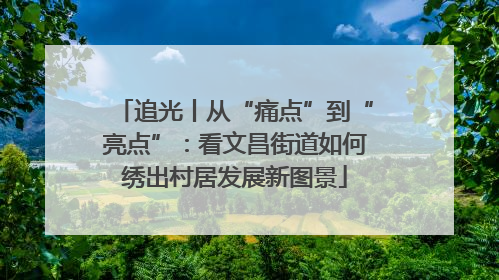追光丨从“痛点”到“亮点”：看文昌街道如何绣出村居发展新图景