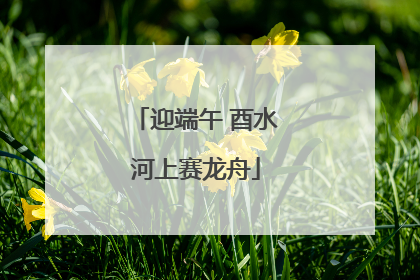 迎端午 酉水河上赛龙舟