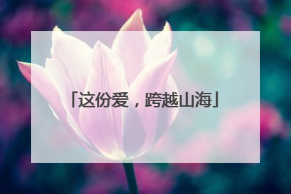 这份爱，跨越山海
