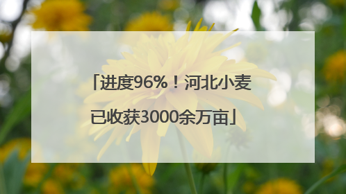 进度96%！河北小麦已收获3000余万亩