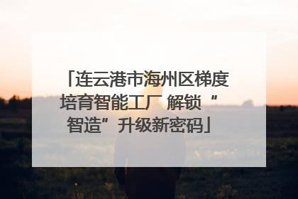 连云港市海州区梯度培育智能工厂 解锁“智造”升级新密码