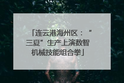连云港海州区：“三夏”生产上演数智机械技能组合拳