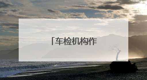 车检机构作弊，该抓
