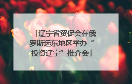 辽宁省贸促会在俄罗斯远东地区举办“投资辽宁”推介会