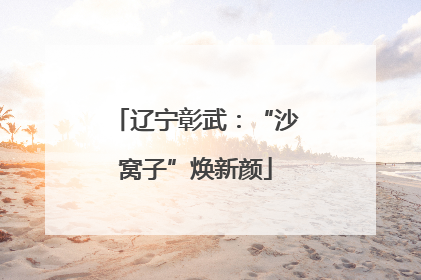辽宁彰武：“沙窝子”焕新颜