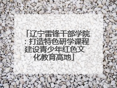 辽宁雷锋干部学院：打造特色研学课程 建设青少年红色文化教育高地
