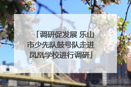 调研促发展 乐山市少先队鼓号队走进凤凰学校进行调研