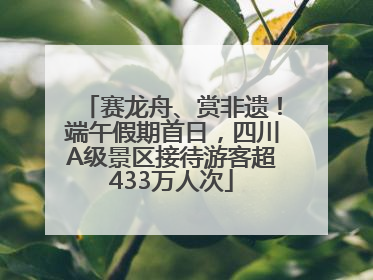 赛龙舟、赏非遗！端午假期首日，四川A级景区接待游客超433万人次