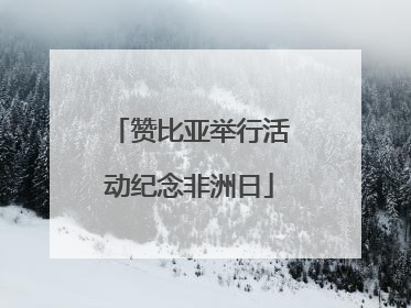 赞比亚举行活动纪念非洲日