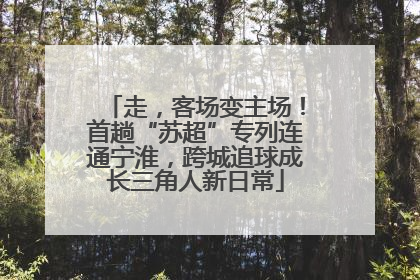 走，客场变主场！首趟“苏超”专列连通宁淮，跨城追球成长三角人新日常