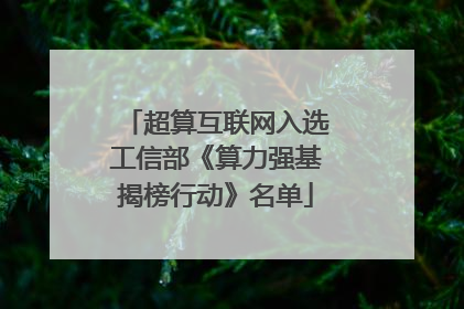 超算互联网入选工信部《算力强基揭榜行动》名单