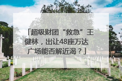 超级财团“救急”王健林，出让48座万达广场能否解近渴？