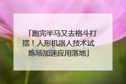 跑完半马又去格斗打擂！人形机器人技术试炼场加速应用落地