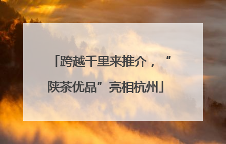 跨越千里来推介，“陕茶优品”亮相杭州