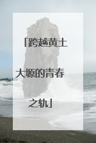 跨越黄土大塬的青春之轨