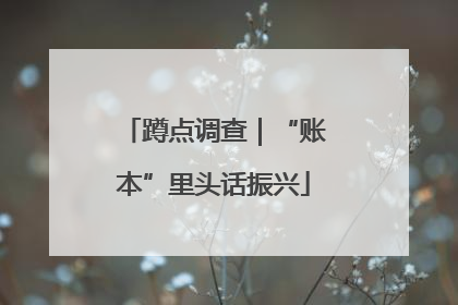 蹲点调查｜“账本”里头话振兴