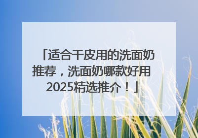 适合干皮用的洗面奶推荐，洗面奶哪款好用2025精选推介！