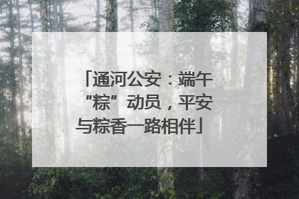 通河公安：端午“粽”动员，平安与粽香一路相伴