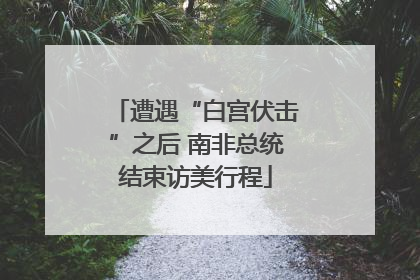 遭遇“白宫伏击”之后 南非总统结束访美行程