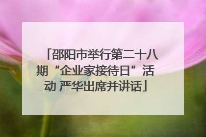 邵阳市举行第二十八期“企业家接待日”活动 严华出席并讲话