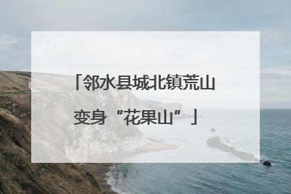 邻水县城北镇荒山变身“花果山”