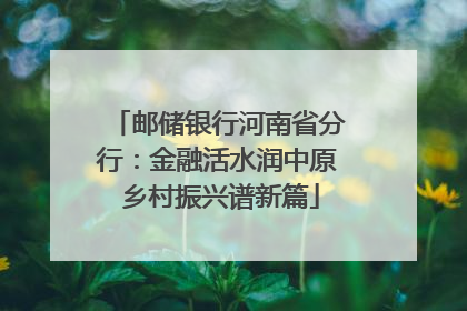邮储银行河南省分行：金融活水润中原 乡村振兴谱新篇