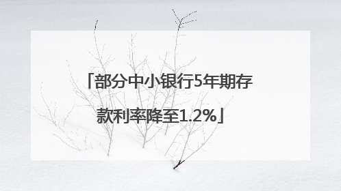 部分中小银行5年期存款利率降至1.2%