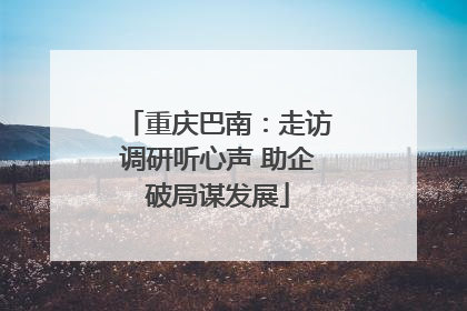 重庆巴南：走访调研听心声 助企破局谋发展
