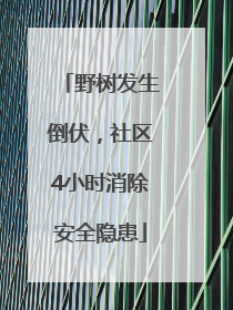 野树发生倒伏，社区4小时消除安全隐患
