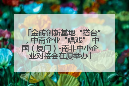 金砖创新基地“搭台”，中南企业“唱戏” 中国（厦门）-南非中小企业对接会在厦举办