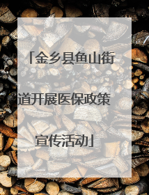 金乡县鱼山街道开展医保政策宣传活动