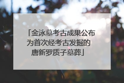 金泳墓考古成果公布 为首次经考古发掘的唐新罗质子墓葬