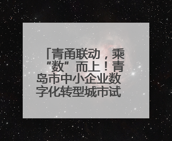 青甬联动，乘“数”而上！青岛市中小企业数字化转型城市试点产业对接活动在宁波开班