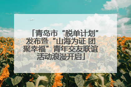 青岛市“脱单计划”发布暨“山海为证 团聚幸福”青年交友联谊活动浪漫开启
