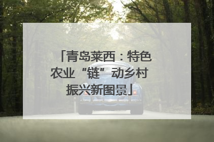 青岛莱西：特色农业“链”动乡村振兴新图景