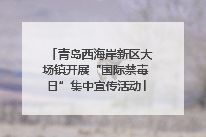 青岛西海岸新区大场镇开展“国际禁毒日”集中宣传活动