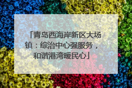青岛西海岸新区大场镇：综治中心强服务，和谐港湾暖民心