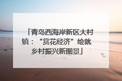 青岛西海岸新区大村镇：“赏花经济”绘就乡村振兴新图景